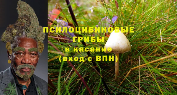 амф Алексеевка