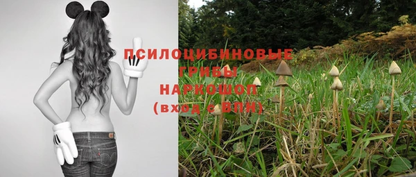 индика Алзамай