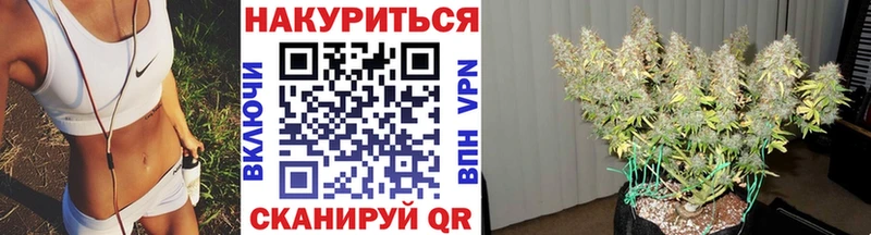 что такое наркотик  Санкт-Петербург  Бошки Шишки конопля 